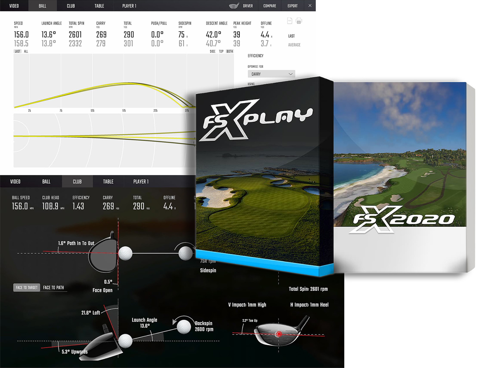 Foresight FSX software