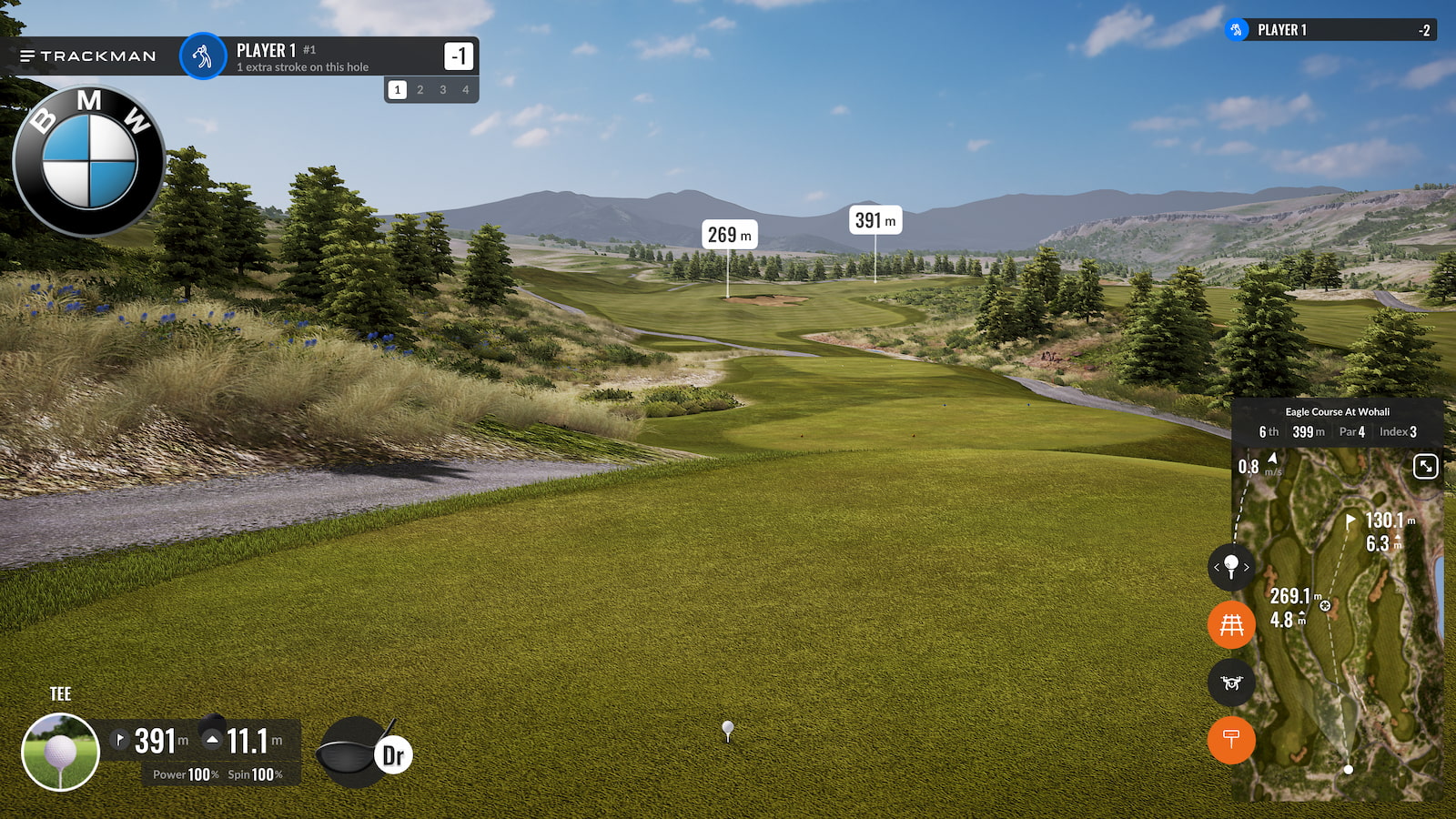 Trackman software view